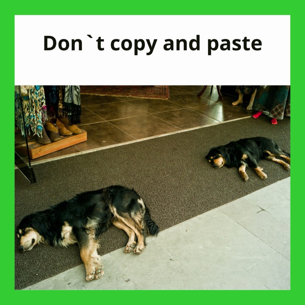 Duplicate Content. Im Bild zwei identische Hunde, darüber Text: Don`t copy and paste.