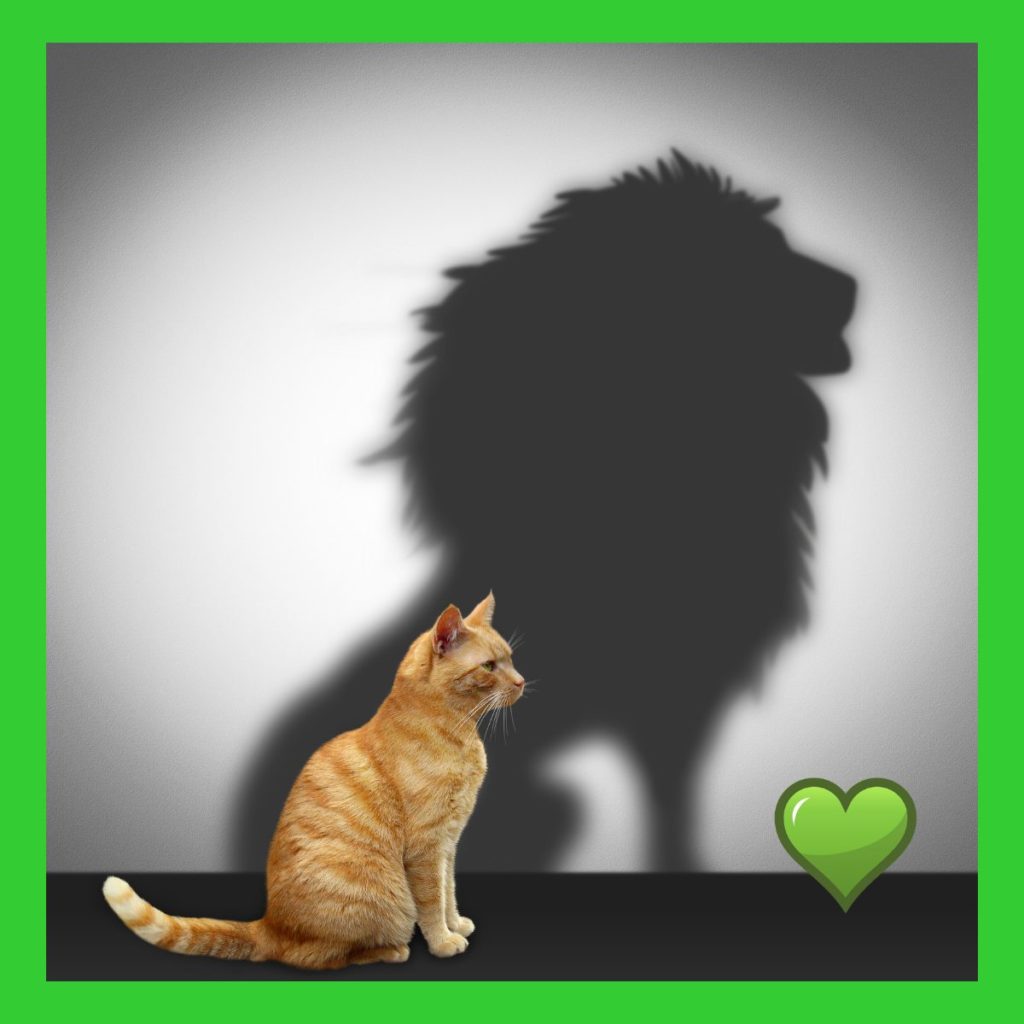 von der Katze zur Löwin. Ein paar Gedanken zum Mut. Aus einer kleinen Katze wird eine stolze Löwin.
